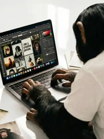 Schimpanse am Laptop beim Videoschnitt