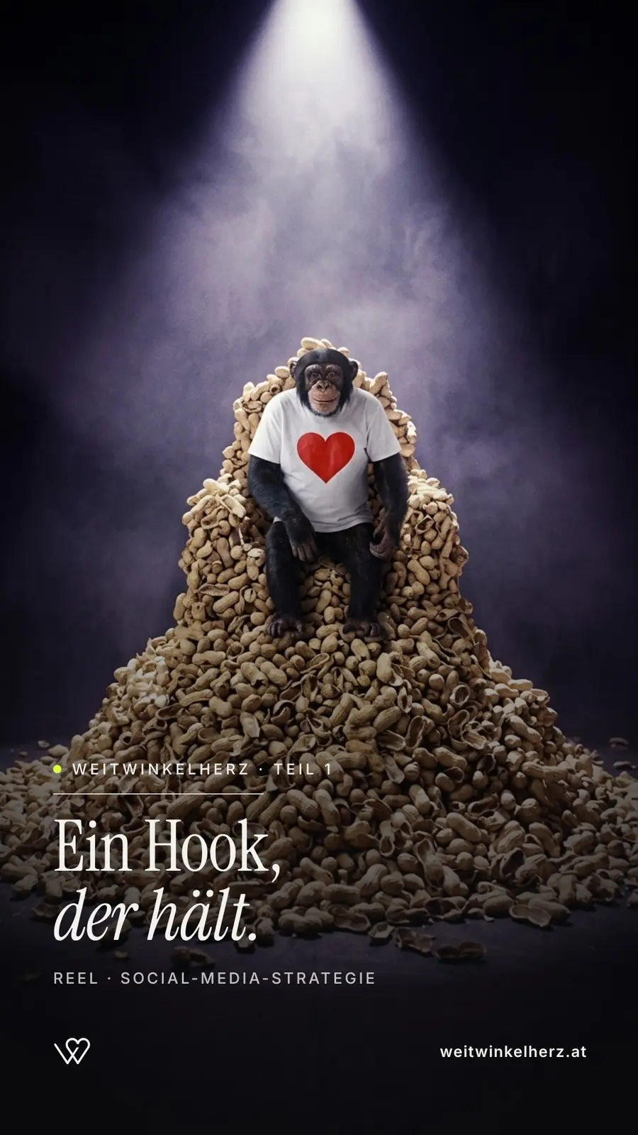 Der Schimpanse im Herz-T-Shirt sitzt im Scheinwerferlicht auf einem Berg Erdnüsse – Titelbild der Reel-Serie „Ein Hook, der hält“